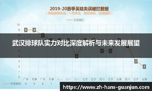武汉排球队实力对比深度解析与未来发展展望